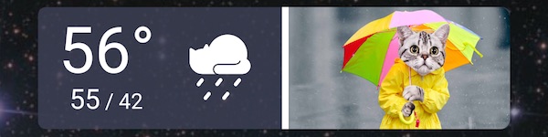 Weather Whiskers widget